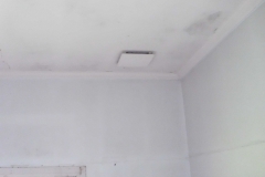 bathroom-ceiling-vent